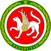 Официальный Татарстан