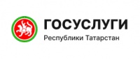 Государственные услуги в Республике Татарстан