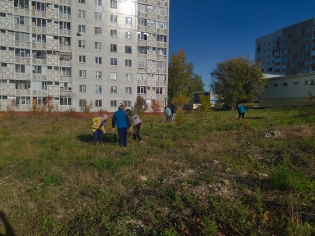 В Камских Полянах прошла осенняя акция "Зеленая волна"