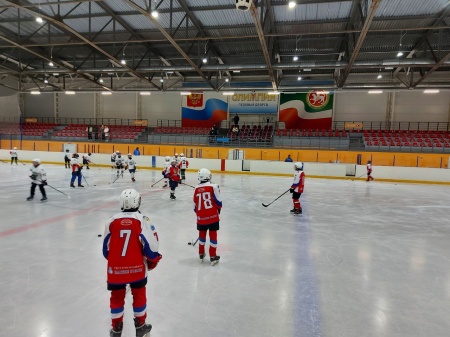 Юные хоккеисты приняли участие в Первенствах РТ по хоккею копия
