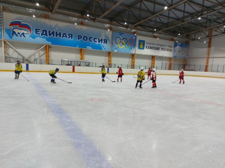Спортсмены Камских Полян приняли участие в первенствах по хоккею среди команд юношей 2010, 2013 г.р.