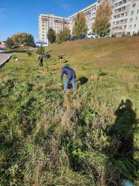 В Камских Полянах прошла осенняя акция "Зеленая волна"