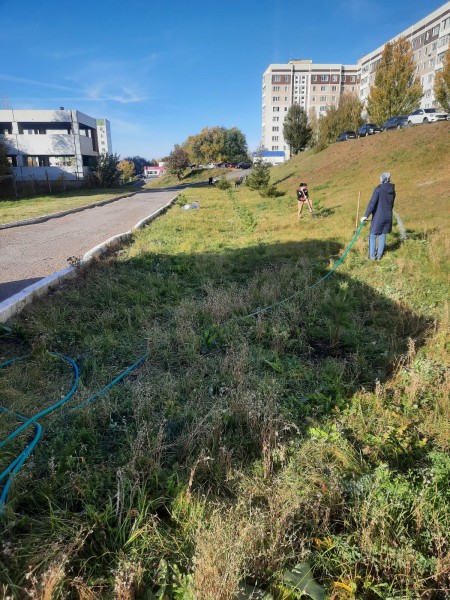 В Камских Полянах прошла осенняя акция "Зеленая волна"