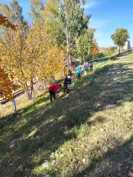 В Камских Полянах прошла осенняя акция "Зеленая волна"