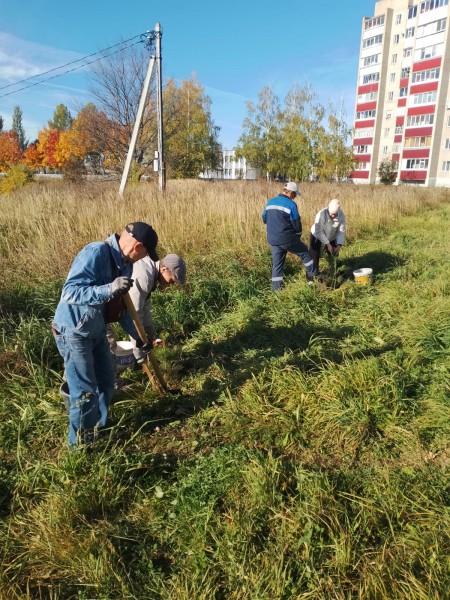 В Камских Полянах прошла осенняя акция "Зеленая волна"