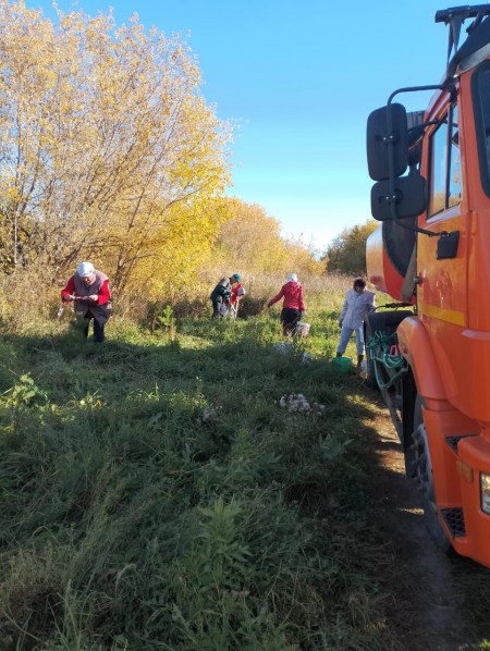 В Камских Полянах прошла осенняя акция "Зеленая волна"