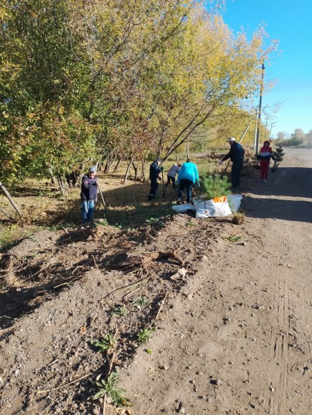 В Камских Полянах прошла осенняя акция "Зеленая волна"