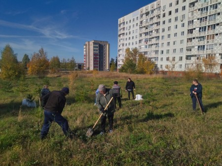 В Камских Полянах прошла осенняя акция "Зеленая волна"