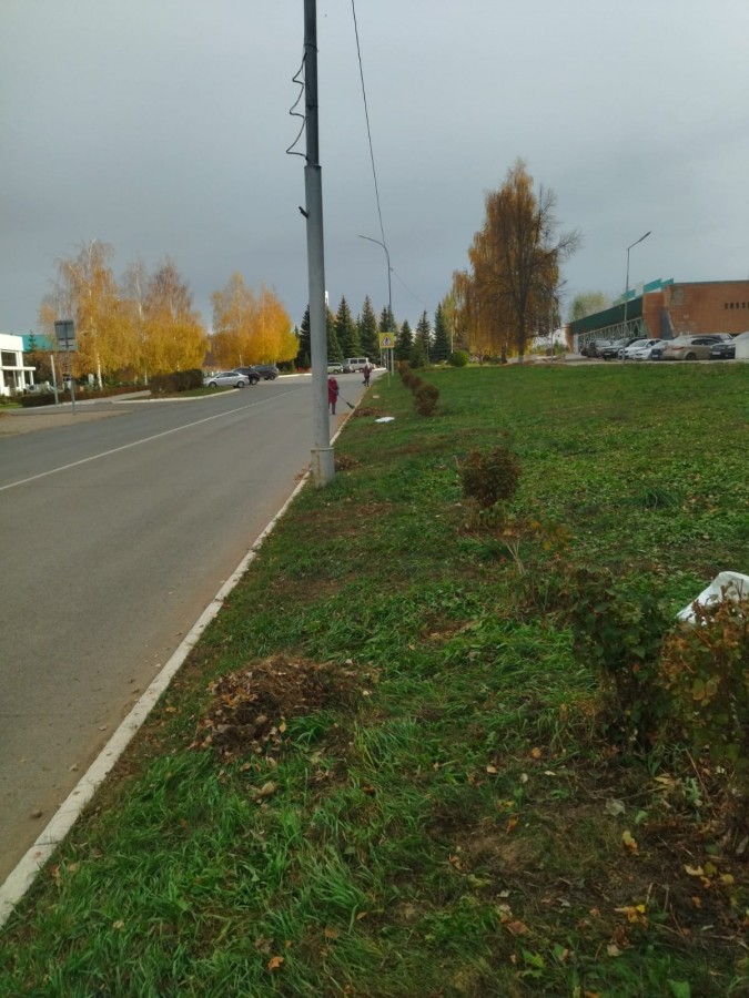В Камских Полянах стартовали осенние санитарные средники