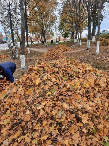 В Камских Полянах стартовали осенние санитарные средники