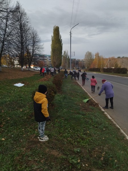 В Камских Полянах стартовали осенние санитарные средники