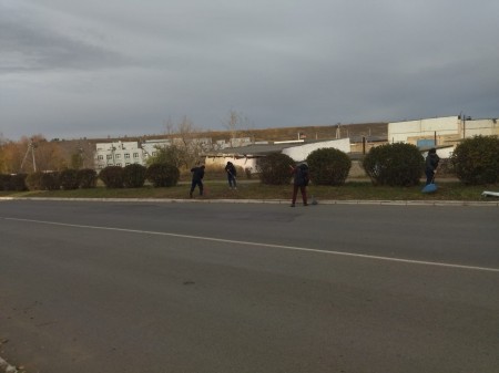 В Камских Полянах стартовали осенние санитарные средники