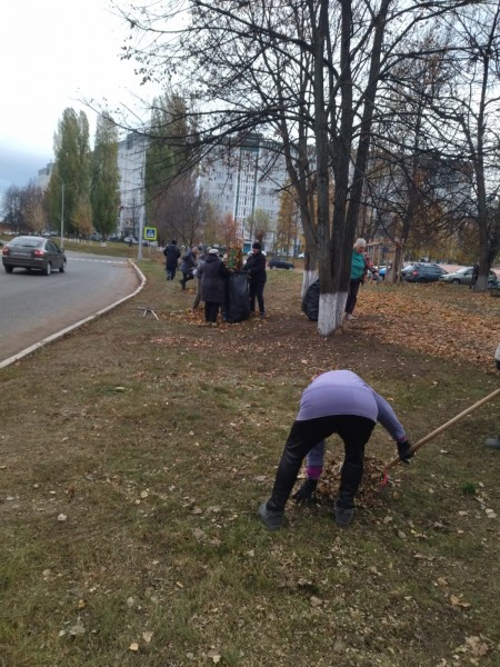 В Камских Полянах стартовали осенние санитарные средники