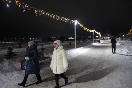 В экопарке открылся елочный городок