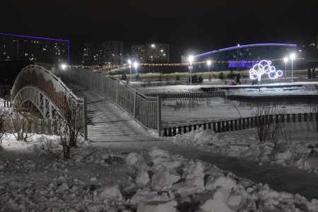 В экопарке открылся елочный городок