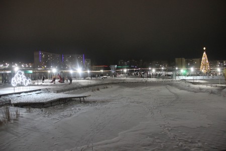 В экопарке открылся елочный городок