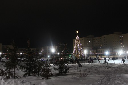 В экопарке открылся елочный городок