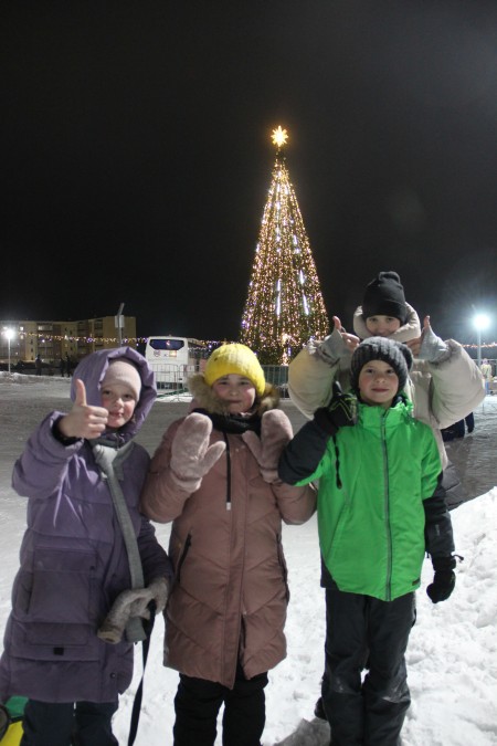 В экопарке открылся елочный городок