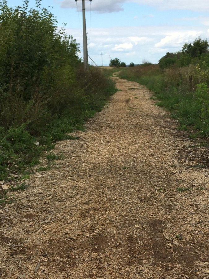 В Камских Полянах завершились работы по благоустройству "Тропы здоровья" в рамках гранта ПАО "Татнефть"