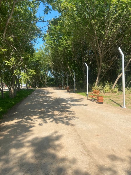 В Камских Полянах завершились работы по благоустройству "Тропы здоровья" в рамках гранта ПАО "Татнефть"
