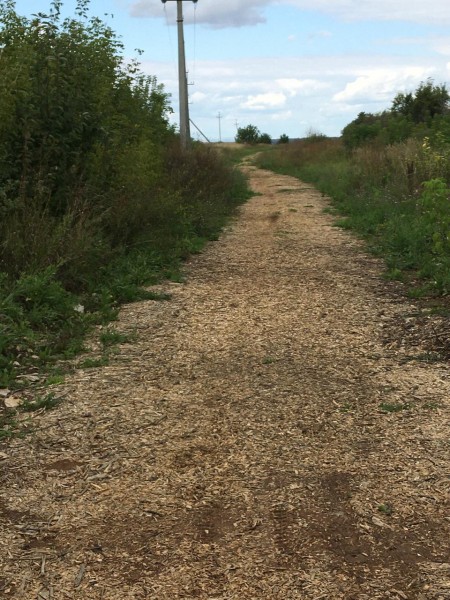 В Камских Полянах завершились работы по благоустройству "Тропы здоровья" в рамках гранта ПАО "Татнефть"